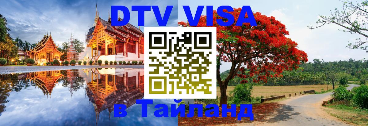Оформление DTV визы под ключ: стоимость и тарифы, только загранпаспорт - 